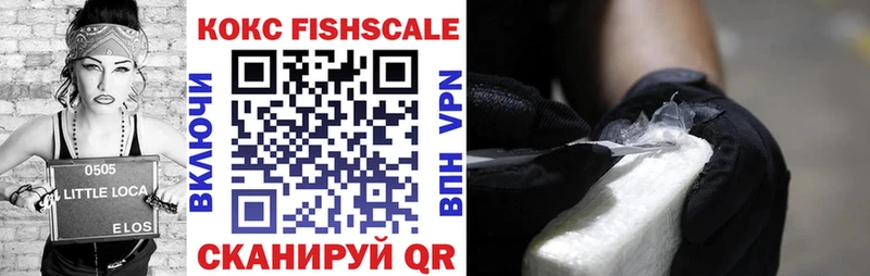 COCAIN Fish Scale  как найти закладки  Сретенск 