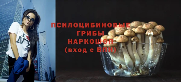 Альфа ПВП Щёлкино