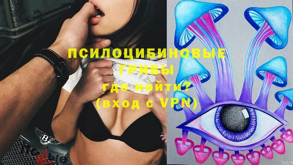 Альфа ПВП Заволжск