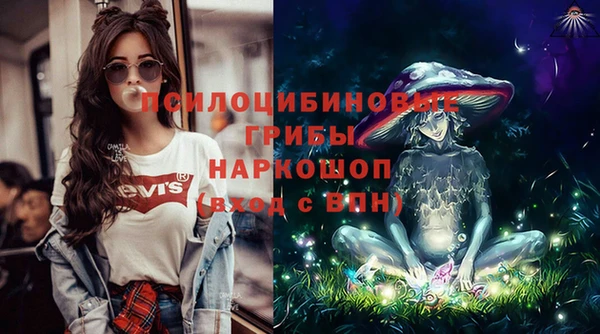 ПСИЛОЦИБИНОВЫЕ ГРИБЫ Зерноград