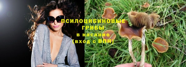 соль курить ск Зеленокумск