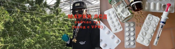 ПСИЛОЦИБИНОВЫЕ ГРИБЫ Зерноград